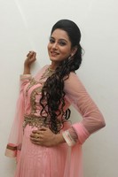 Himaja Photos at Shivam Audio Release